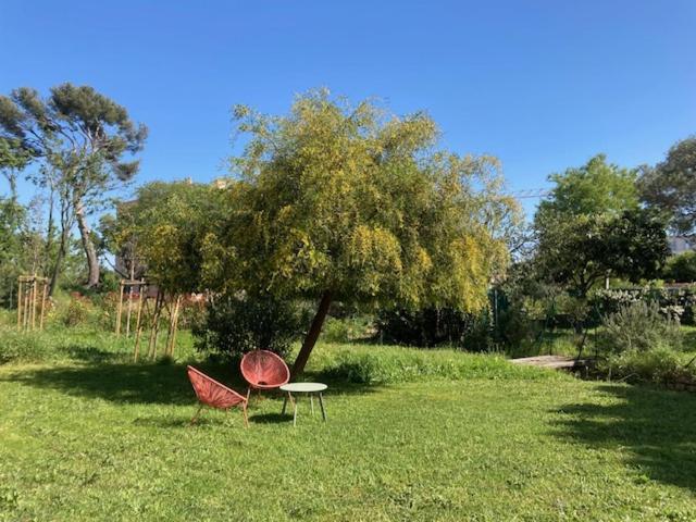 Un Jardin Dans La Ville La Ciotat Exterior foto